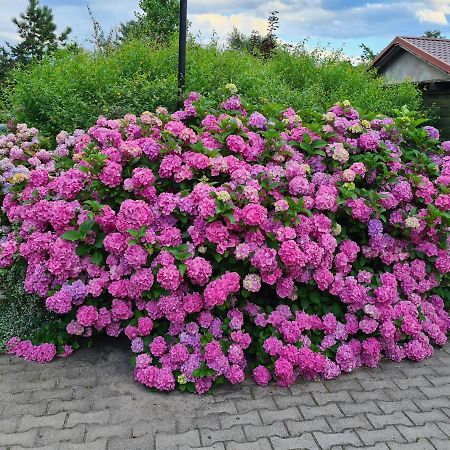 Dworek Sw.Antoniego Slawutowo Ngoại thất bức ảnh